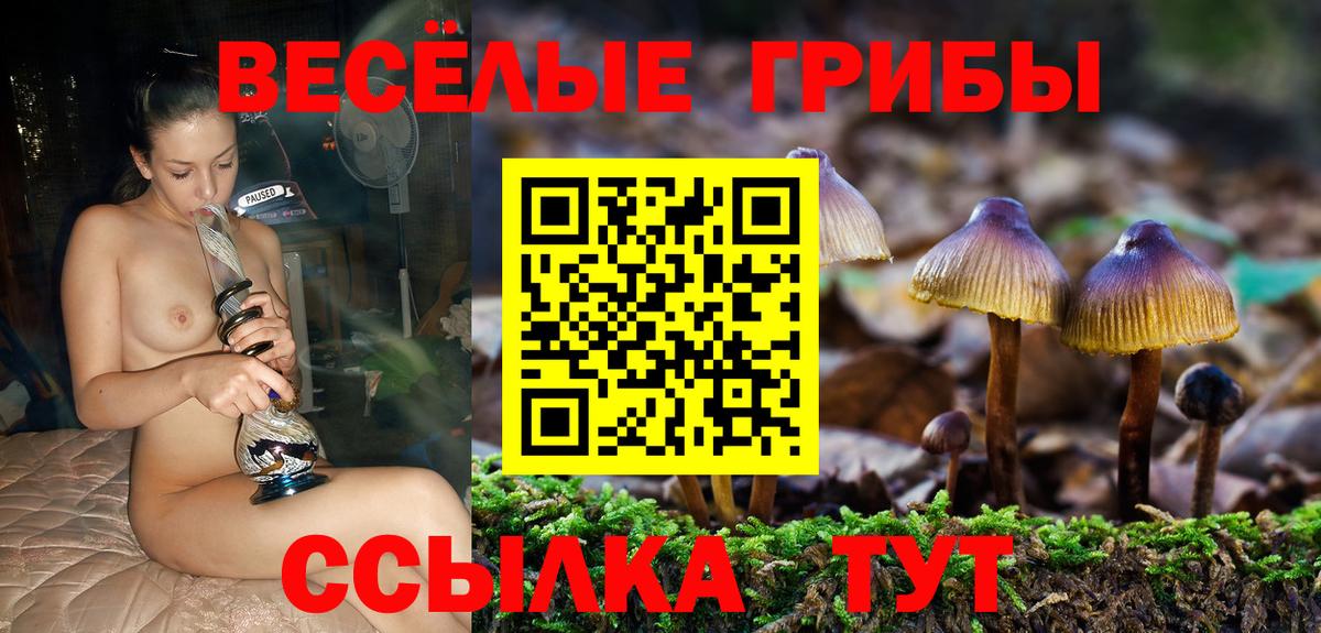 Псилоцибиновые грибы мухоморы Кудымкар